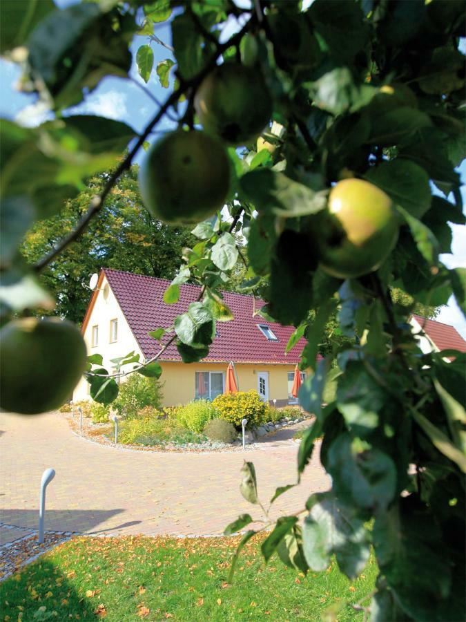 Schoelzke'S Ferienhaus Ралсвиек Екстериор снимка